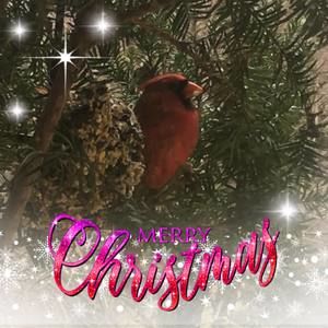 Meet your Posher, Suzanne